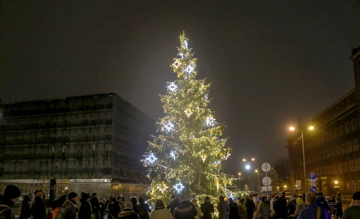 Ziemassvētku egle Rīgā. Foto: Sintija Zandersone/LETA