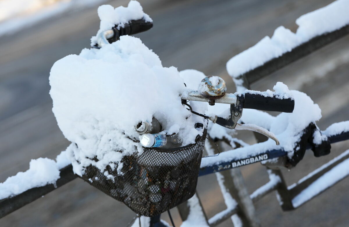 Apsnidzis velosipēds. Foto: Evija Trifanova/LETA