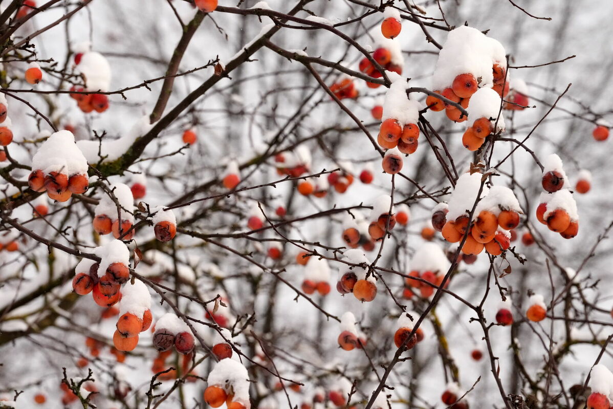 Foto: Evija Trifanova/LETA