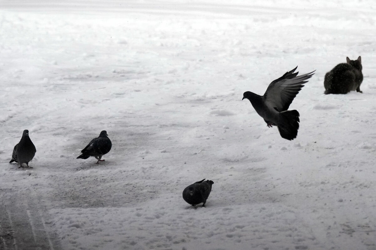 Foto: Edijs Pālens/LETA