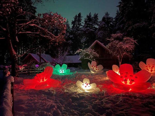 “Ziemas gaismas dārzs. Trejdeviņi”. Foto: Publicitātes attēls