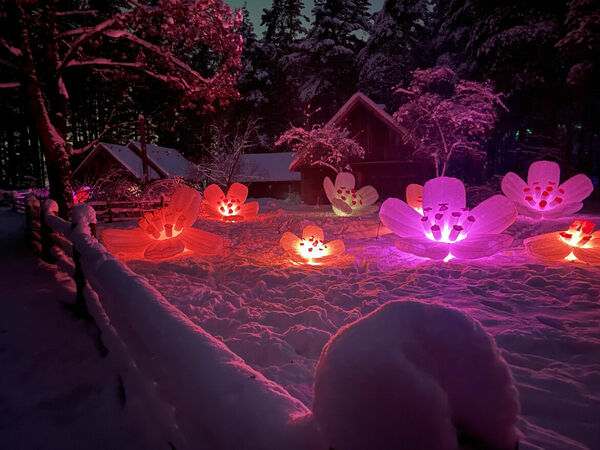 “Ziemas gaismas dārzs. Trejdeviņi”. Foto: Publicitātes attēls