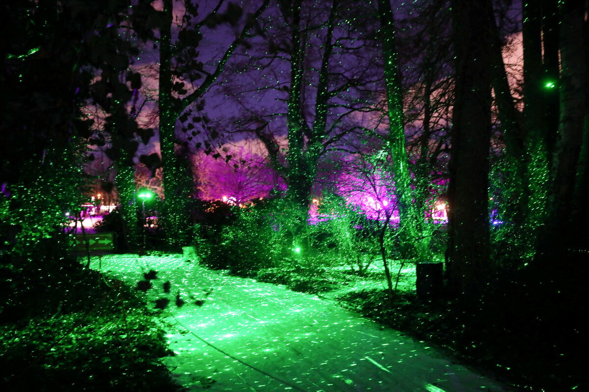 Pastaigu taka "Ziemas gaismas dārzs" Latvijas Universitātes Botāniskajā dārzā. Foto: Paula Čurkste/LETA