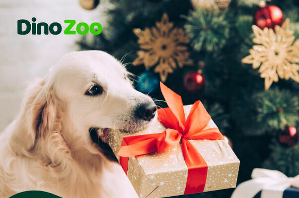 Foto: facebook.com/DinoZooLV