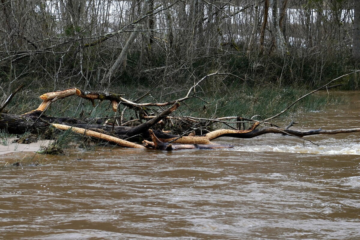 Amatas upe laikā kad centrālās Vidzemes daļā ir izsludināts brīdinājums Foto: LETA