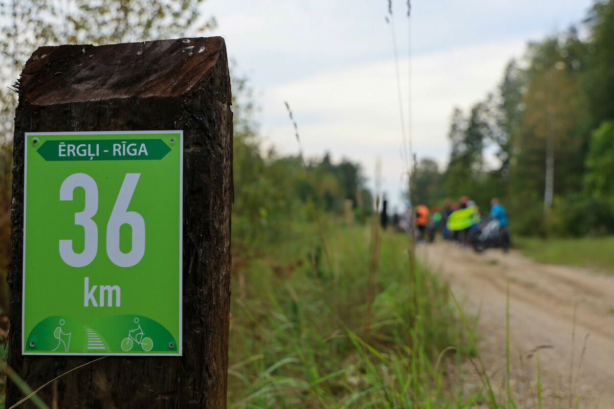 Zaļais dzelzceļš posmā Rīga–Ērgļi. Foto: greenrailways publicitātes attēls