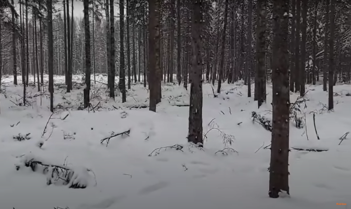 Foto: Ekrānuzņēmums no videoklipa