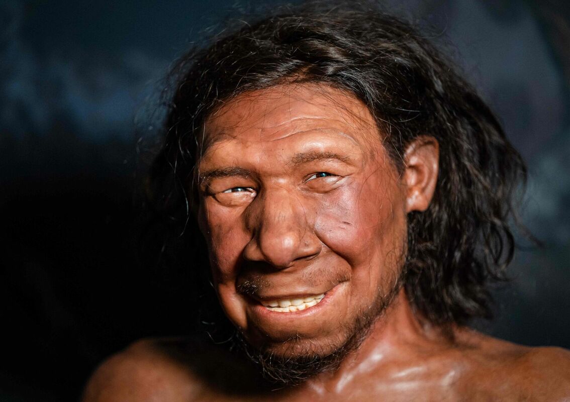 Nīderlandē atrastā vecākā neandertālieša sejas rekonstrukcija. Foto: Bart Maat / ANP / AFP