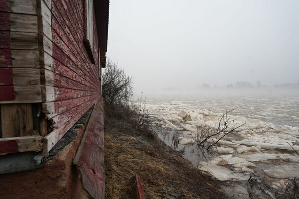 Plūdi Pļaviņu un Jēkabpils apriņķī. Foto: Evija Trifanova/LETA