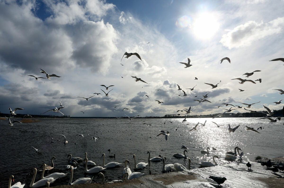 Foto: Edijs Pālens/LETA