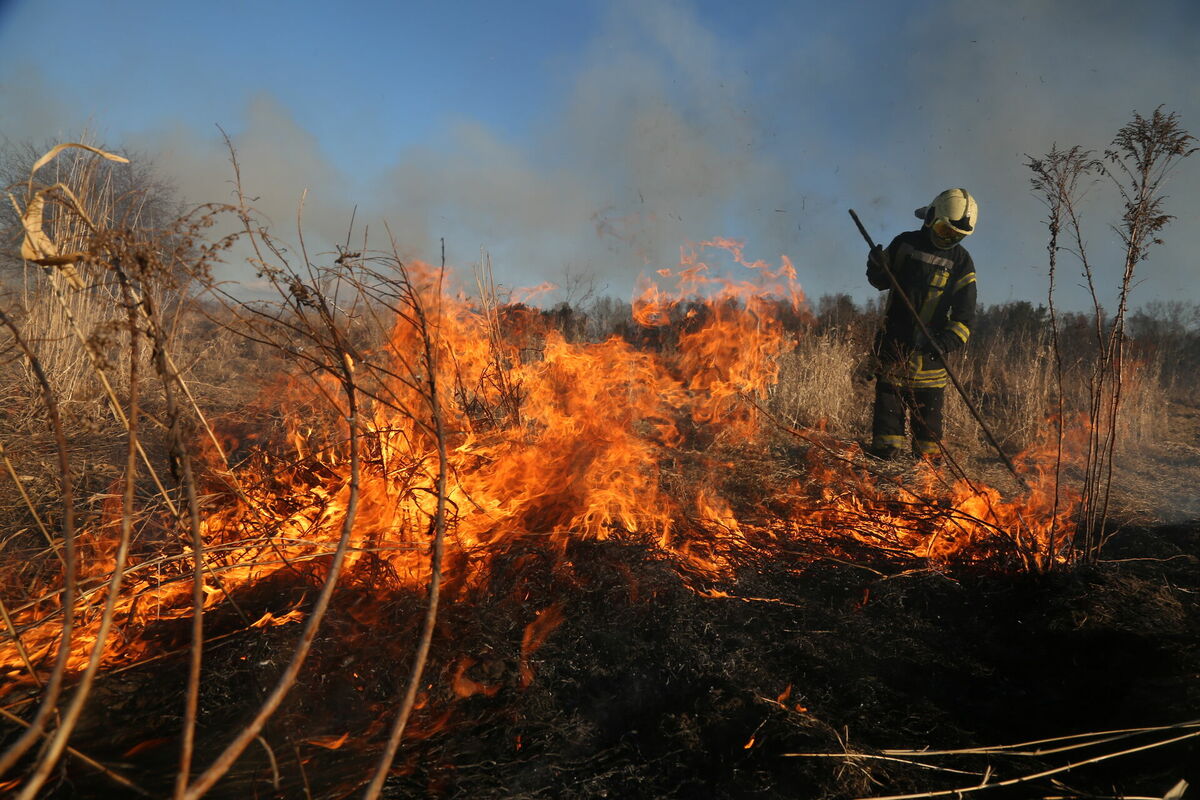 Kūlas ugunsgrēks, attēls ilustratīvs. Foto: Edijs Pālens/LETA