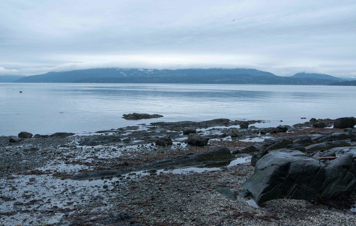 Vankūveras sala, Kanāda. Foto: scanpix/AFP