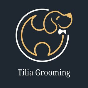 "Tilia Services" SIA