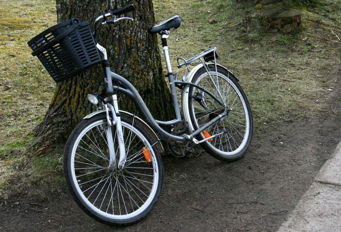 Velosipēds. Foto: Rebeka Žeire/LETA