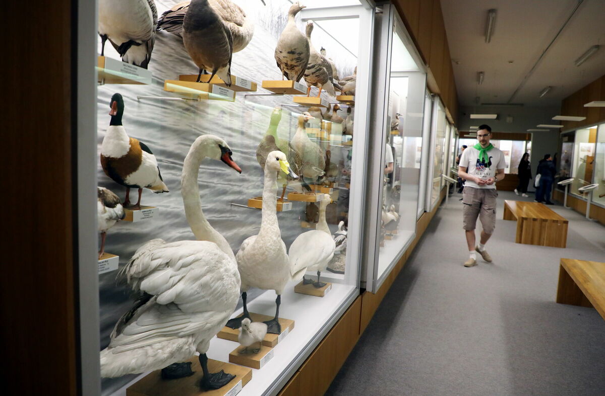 Muzeju nakts. Foto: Evija Trifanova/LETA