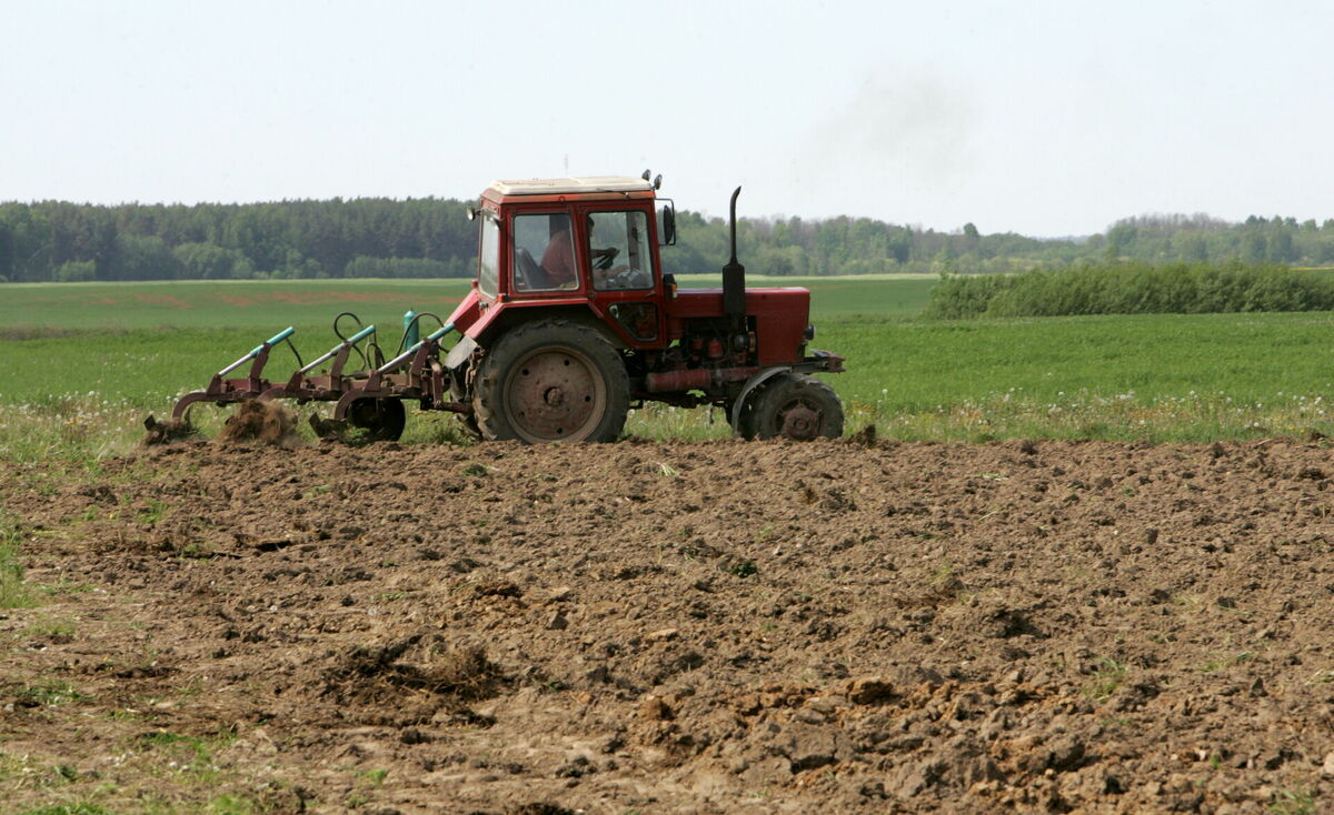 Traktors apstrādā zemi. Foto: Ieva Čīka/LETA