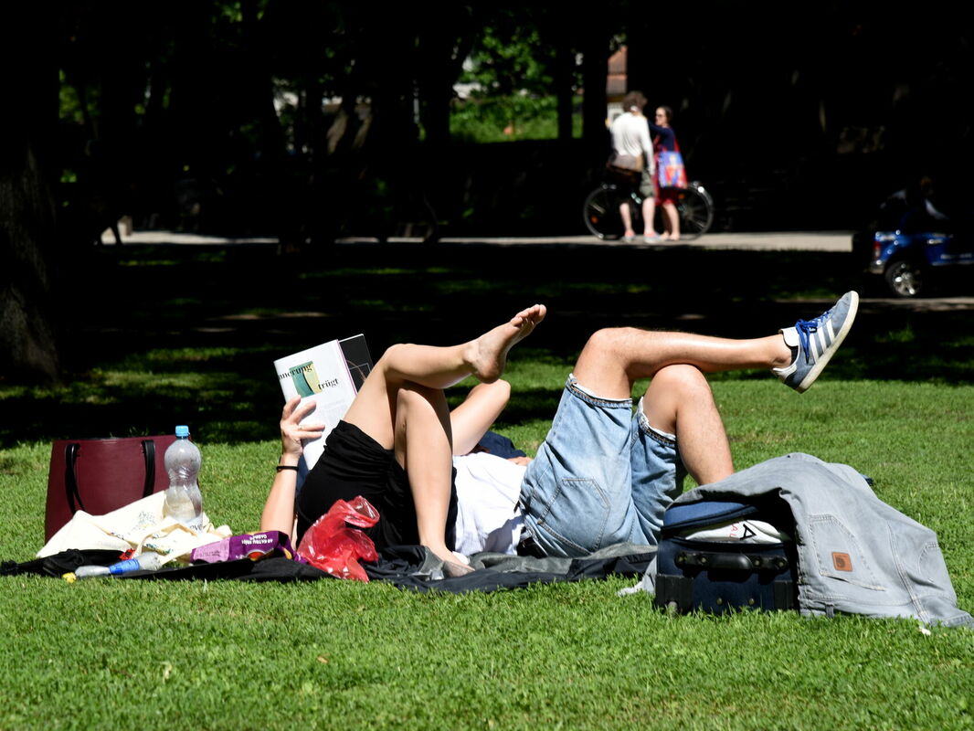 Jaunieši. Foto: Zane Bitere/LETA