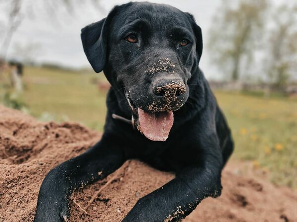 Konkursā iesūtīta fotogrāfija. Foto: Santa Pavloviča