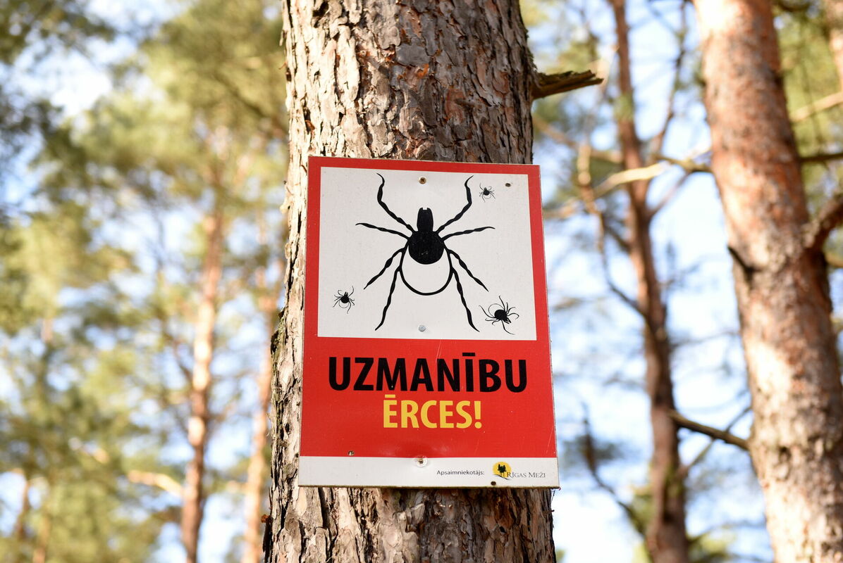 Brīdinājuma uzraksts "Uzmanību ērces!" Dabas parkā "Piejūra". Foto: Zane Bitere/LETA