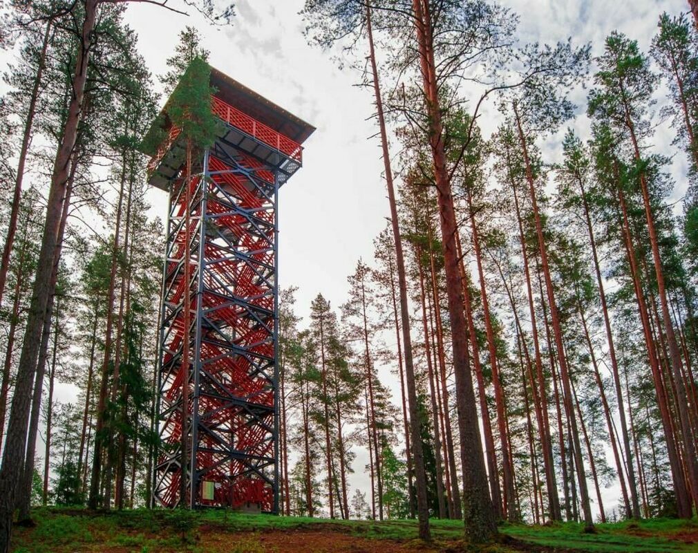 Cirgaļu skatu tornis. Foto: Publicitātes attēls.