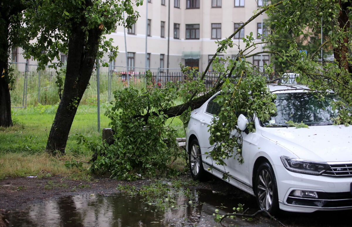 Stiprā vēja dēļ Satekles ielā uz automašīnas nogāzies koks Foto: LETA