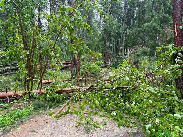 Tērvetes dabas parks jau atkal cietis vētrā. Foto: Latvijas valsts mežu dabas parks Tērvetē/Facebook