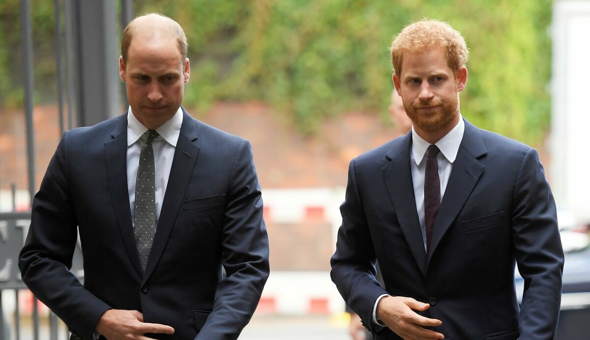 Prinči Viljams un Harijs. Foto: REUTERS/Toby Melville