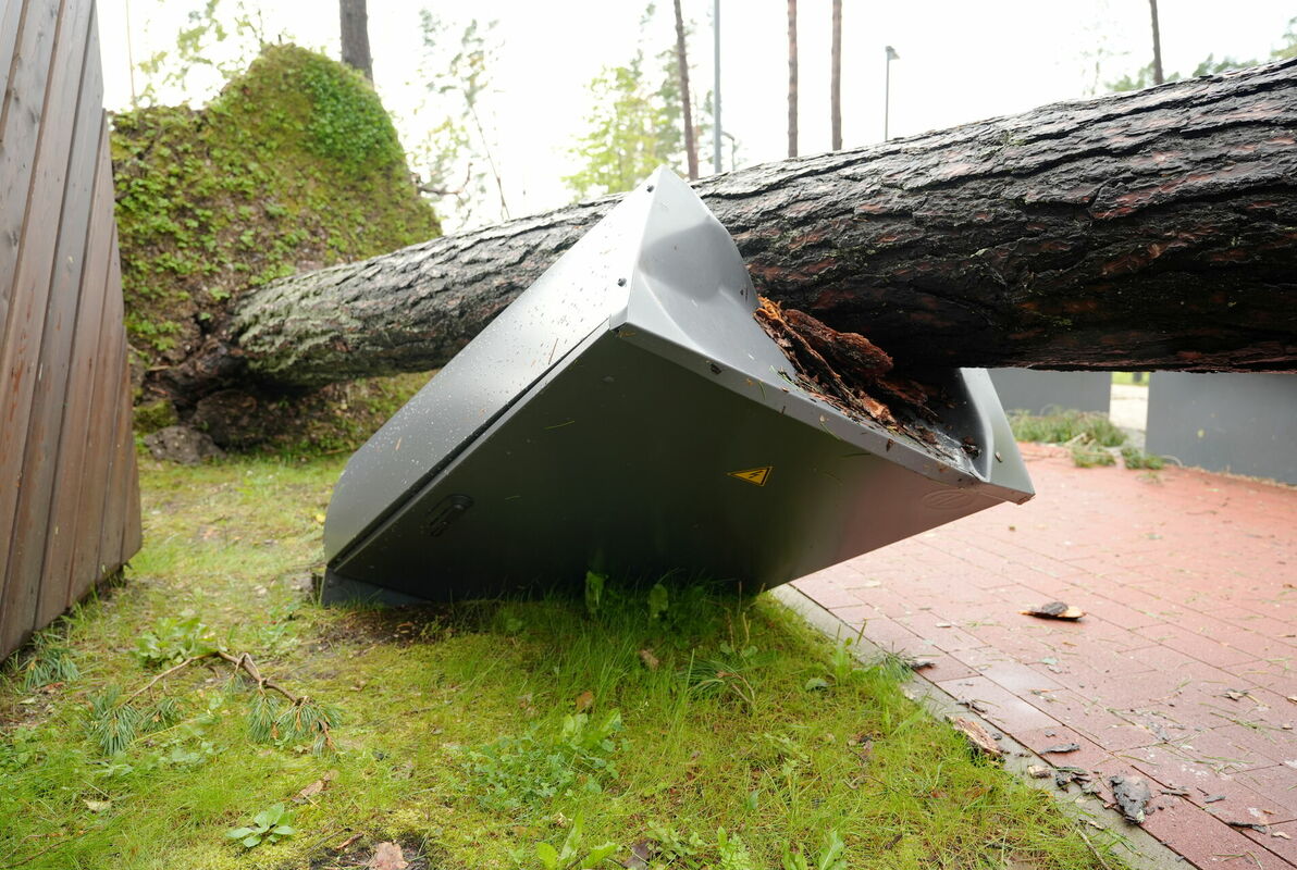 Stiprā lietus un vētras postījumi Kauguru parkā. Foto: Lita Millere/LETA