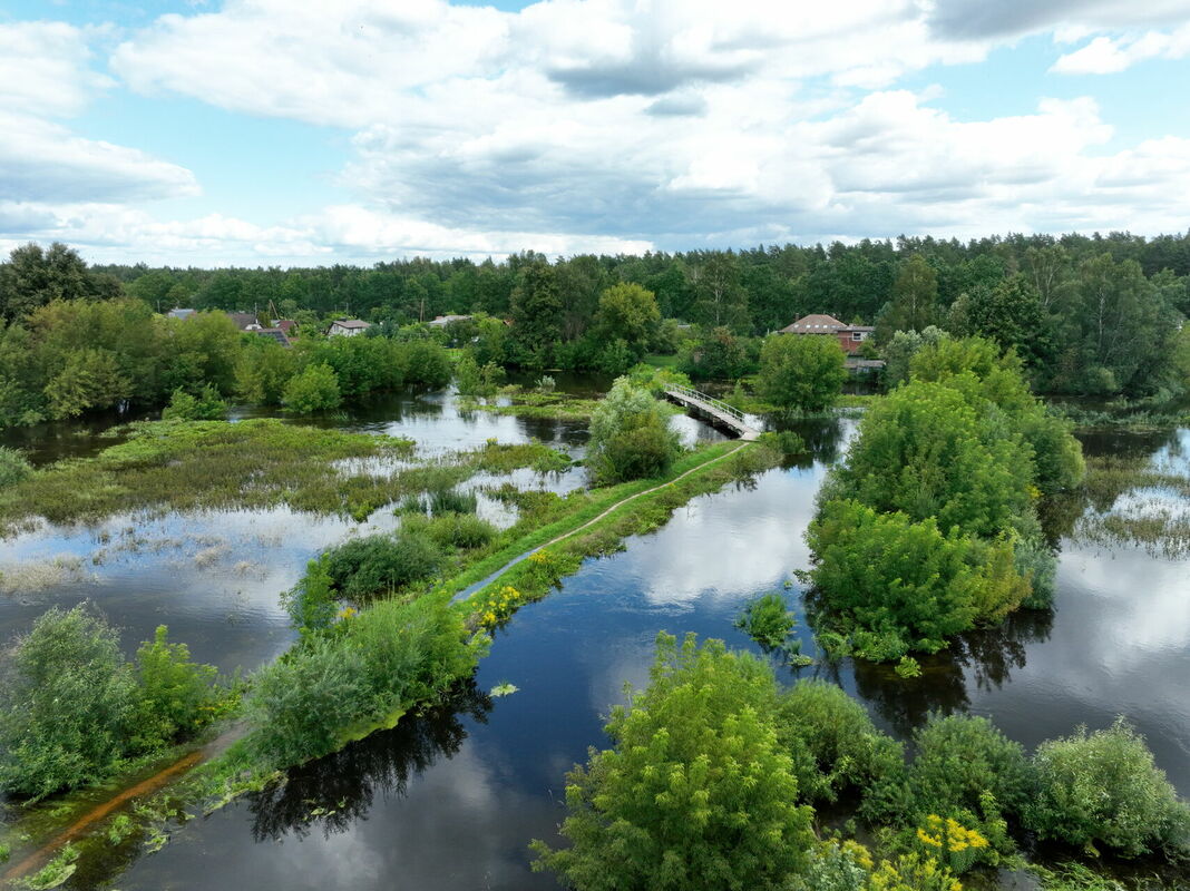 Pārplūdusi Svētes upe Jelgavas novadā. Foto: Evija Trifanova/LETA