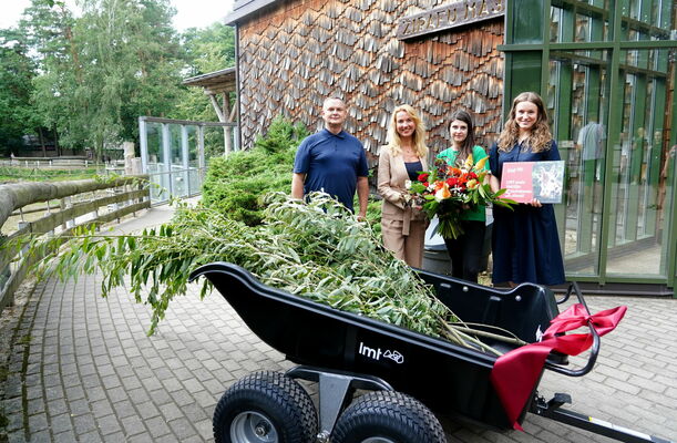 Žirafes Vakilijas piecu gadu jubilejas svinības Rīgas Zooloģiskajā. Foto: Paula Čurkste/LETA