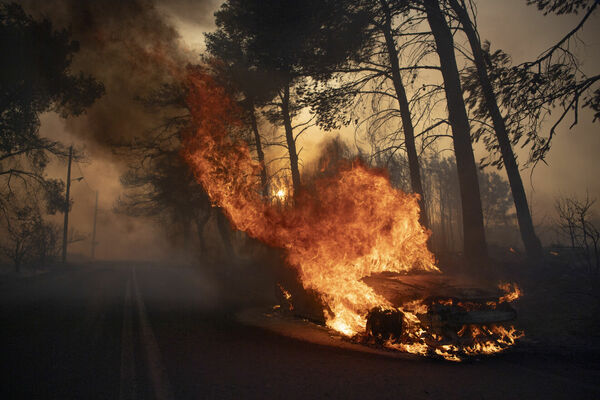 Foto: AP Photo/Michael Varaklas