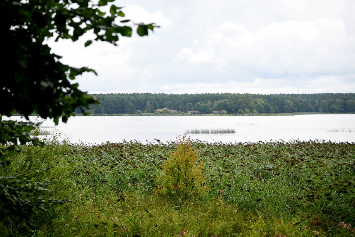 Juglas ezers. Foto: Zane Bitere/LETA