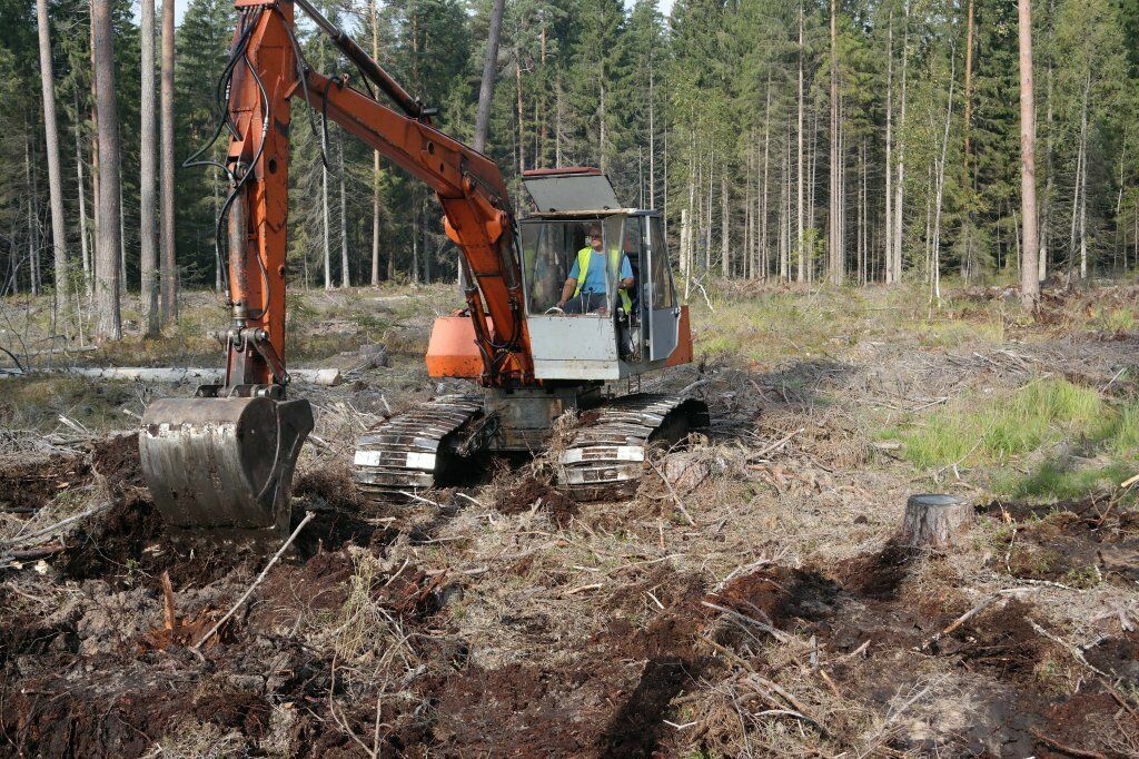 "Latvijas valsts meži" augsnes gatavošanas darbi. Foto: "Latvijas valsts meži"