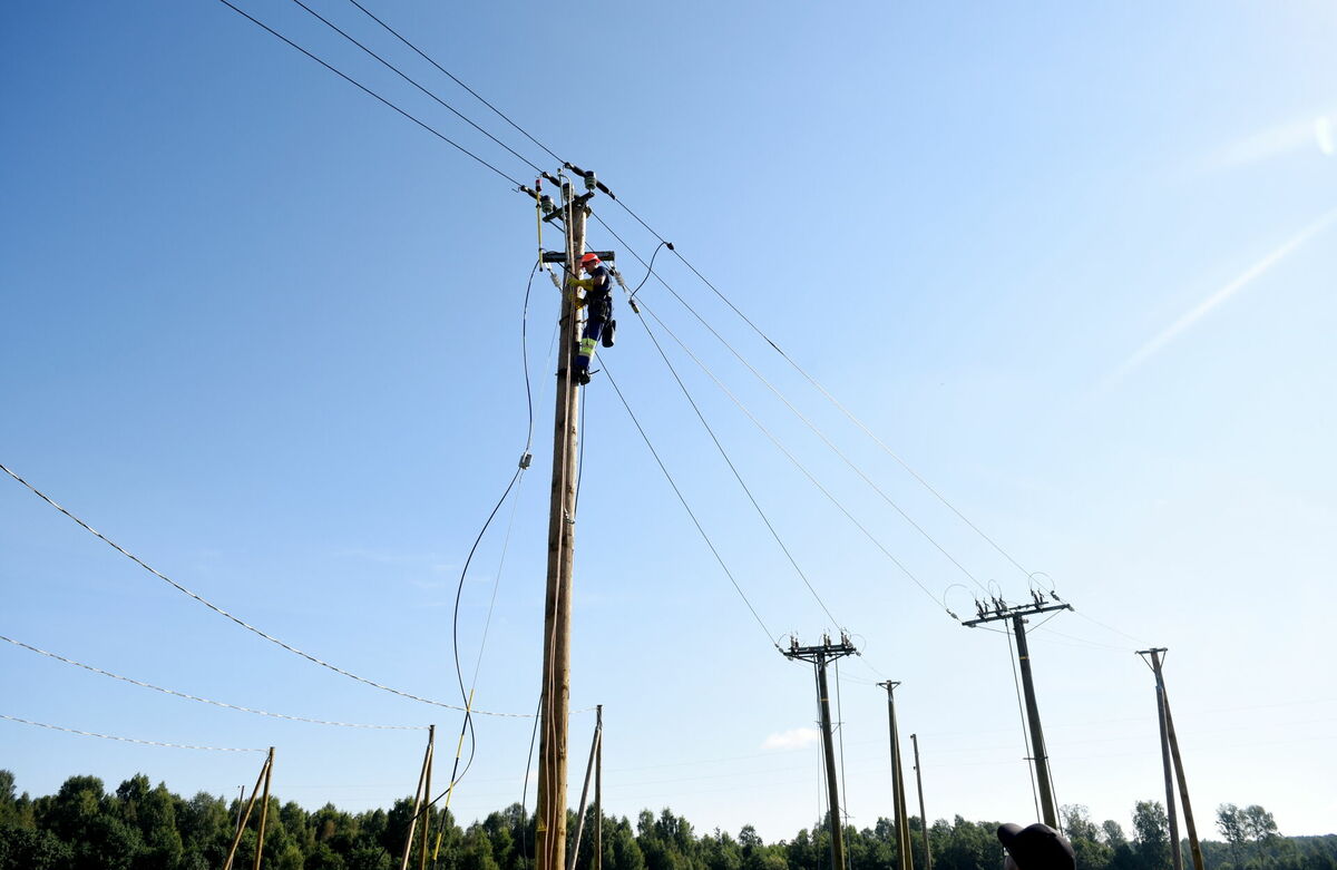 Elektrības stabi. Foto: Zane Bitere/LETA