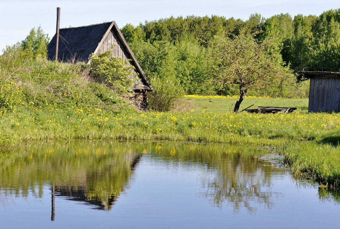 Lauku viensēta ar dīķi Latgalē. Ilustratīvs attēls. Foto: Ivars Soikāns/LETA