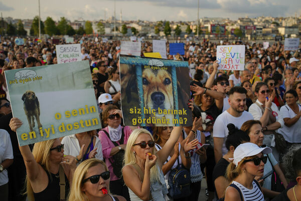 Protesti Turcijā. Foto: scanpix/P Photo/Emrah Gurel