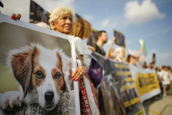 Protesti Turcijā. Foto: scanpix/P Photo/Emrah Gurel