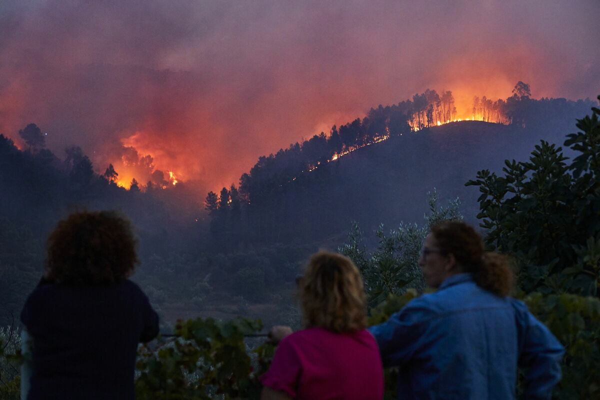 Mežu ugunsgrēki Portugālē. Foto: scanpix/EPA/MIGUEL PEREIRA DA SILVA