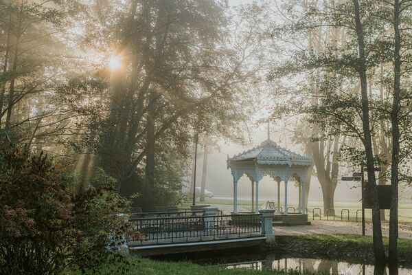 Migla Ķemeru parkā. Foto: jurmalalv