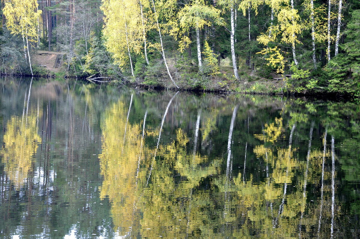 Rudens ainava ar Gaišezeru. Foto: Ivars Soikāns/LETA