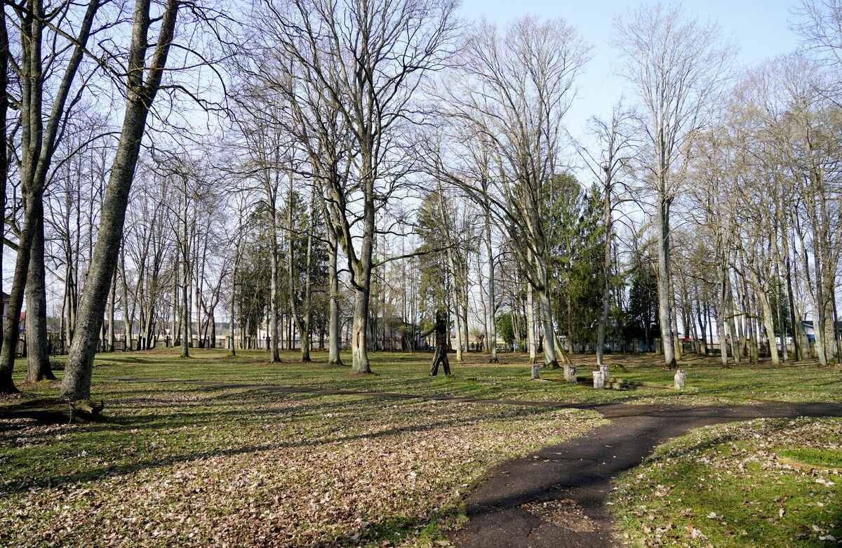 Jūrmala. Foto: Paula Čurkste/LETA