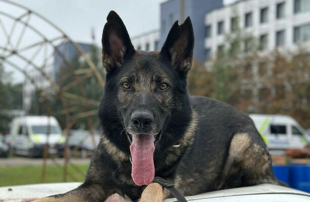 Pedro. Foto: Valsts policija