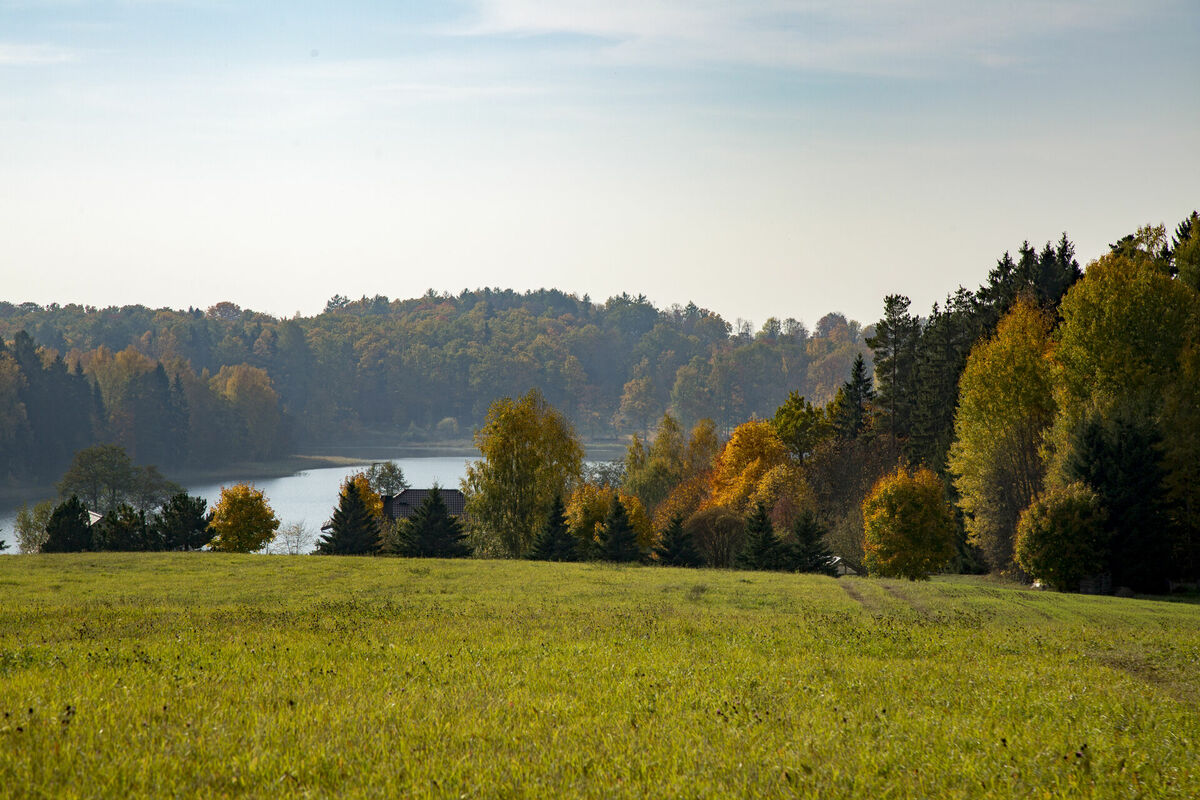 Rudens ainava. Foto: Edijs Pālens/LETA