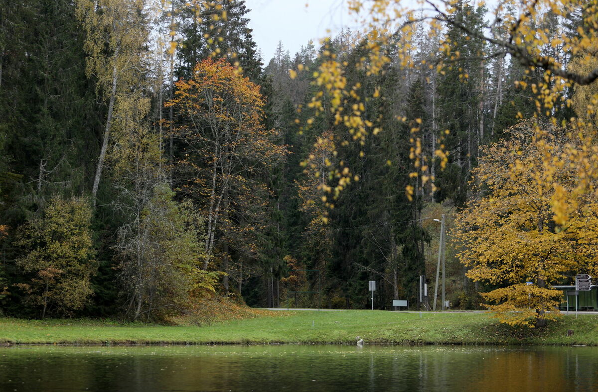 Rudens ainava Līgatnē. Foto: Sintija Zandersone/LETA