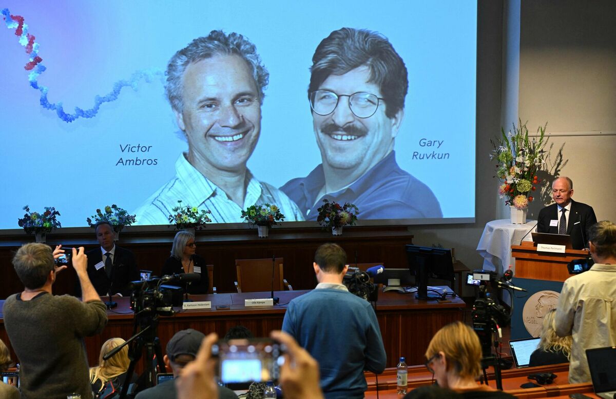 2024. gada Nobela prēmijas medicīnā paziņošanas pasākums Karolinska institūtā Stokholmā. Foto: Jonathan NACKSTRAND / AFP