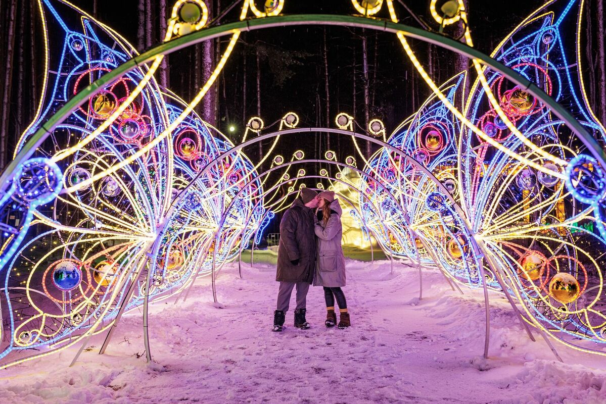 2023. gada Gaismas Dārza izstāde Mežaparkā. Foto: Garden of Lights - Rīga/Facebook