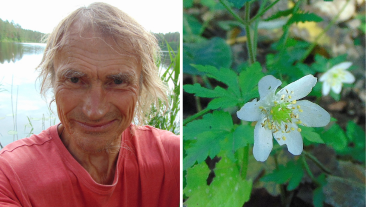 Vilis Bukšs. Foto: meiravietis