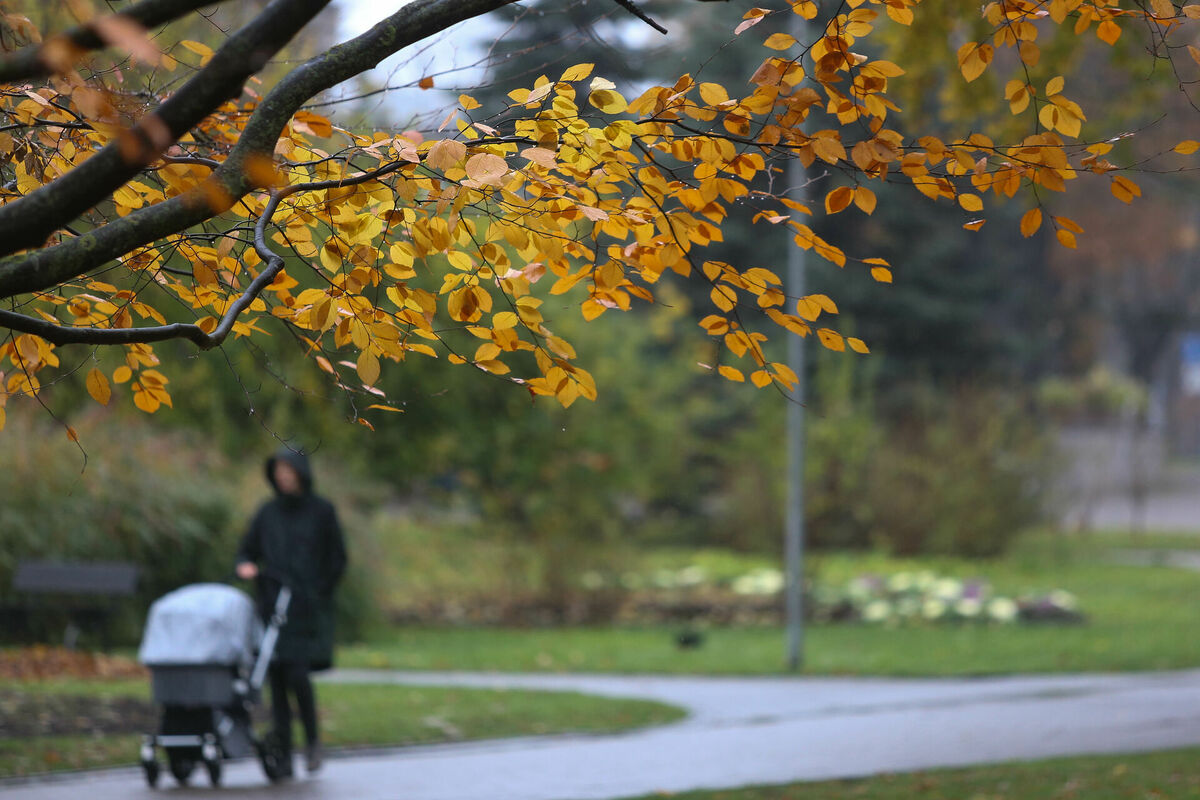 Sieviete ar bērnu ratiņiem Vērmanes dārzā lietainā rudens dienā. Foto: Paula Čurkste/LETA