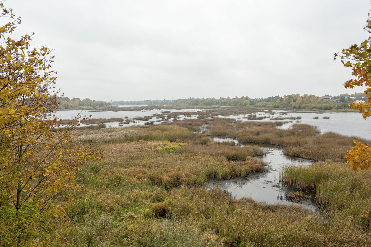 Doles salas dabas parks. Foto: Salaspils novada Tūrisma informācijas centrs