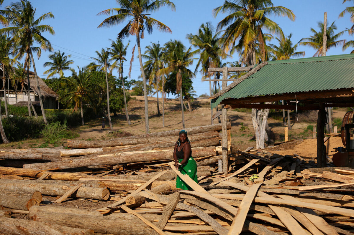 Mozambika. Foto: REUTERS/Siphiwe Sibeko/Scanpix